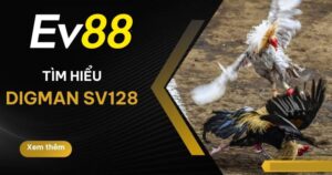 Gioi Thieu Sanh Sv128 Tai Ev88 Trai Nghiem Da Ga Dinh Cao