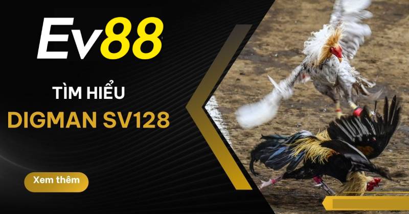 Gioi Thieu Sanh Sv128 Tai Ev88 Trai Nghiem Da Ga Dinh Cao