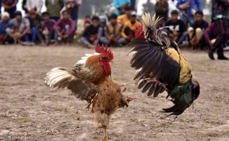 Không có “mánh” hay bí quyết nào giúp thắng lâu dài
