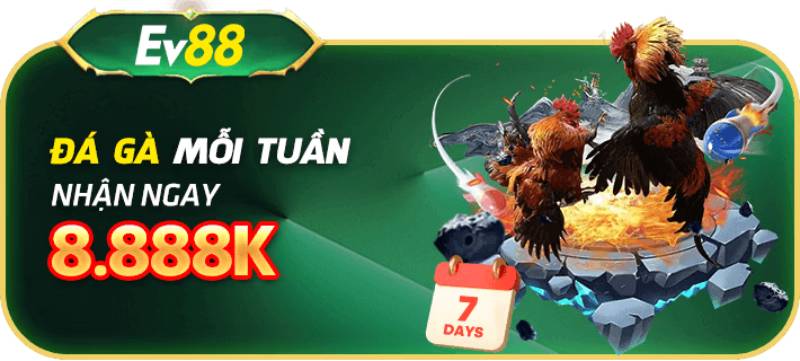Khuyến mãi hấp dẫn và phần thưởng lớn