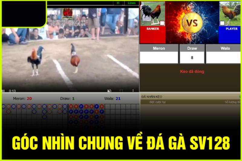 Mỗi trận đấu đều đảm bảo tính công bằng và minh bạch