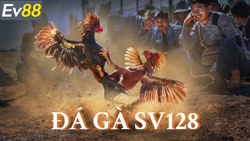 Trải nghiệm cá cược đa dạng và dễ dàng điều chỉnh
