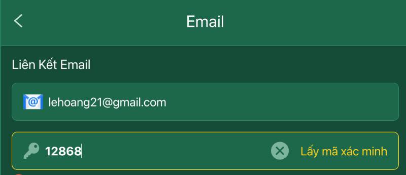 Xac minh qua email